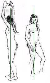 Human body proportions